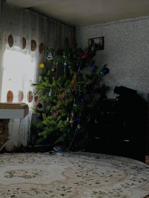 Фото проститутки Альбина №2 в городе Химки