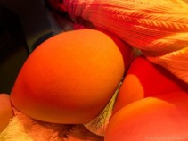 Фото проститутки Карина №2 в городе Химки